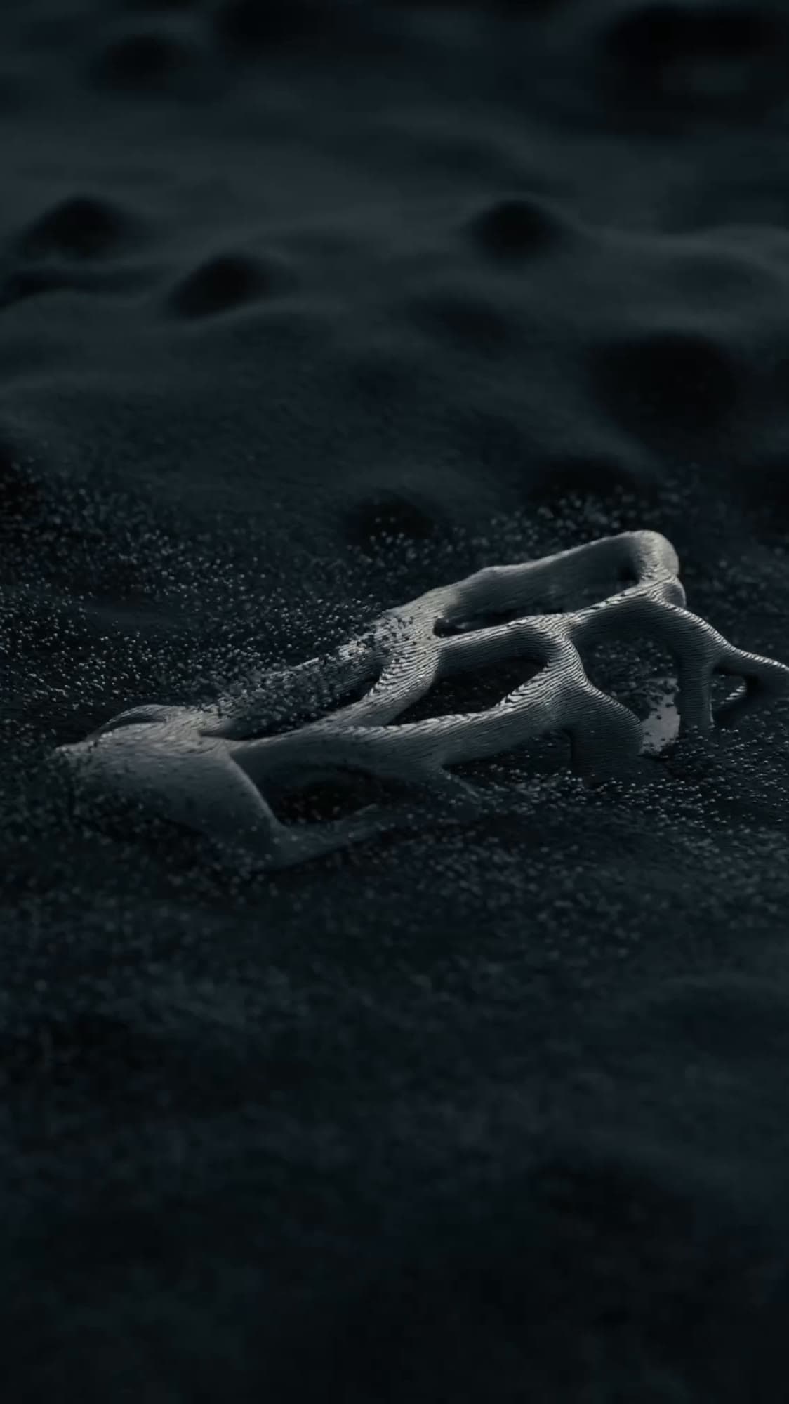 Panq's — Lighter Case Design Showcase Animation