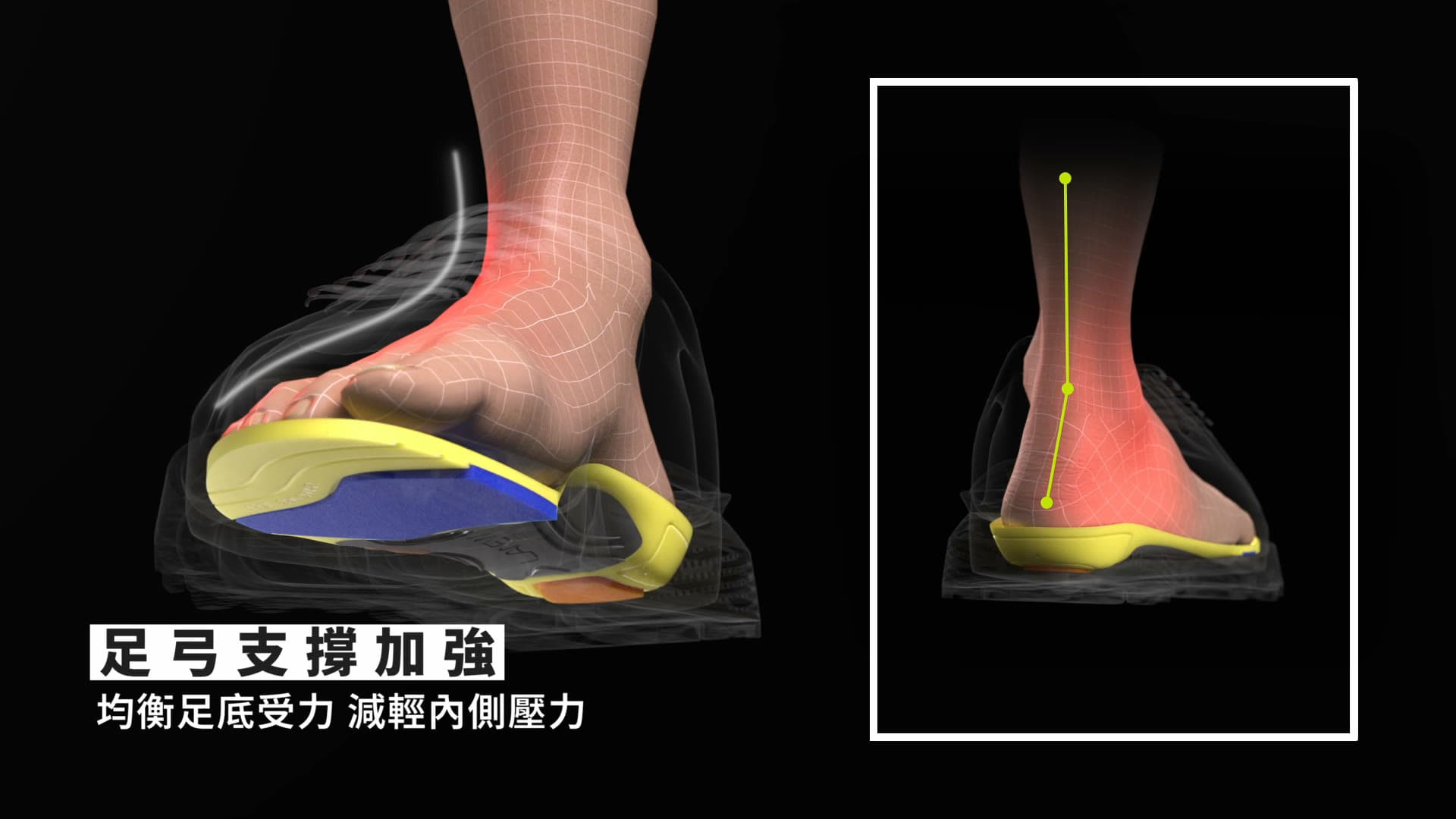 LANEW Cubic Matrix Tech Foot-Measurement Casual Sneaker — Commercial Production
