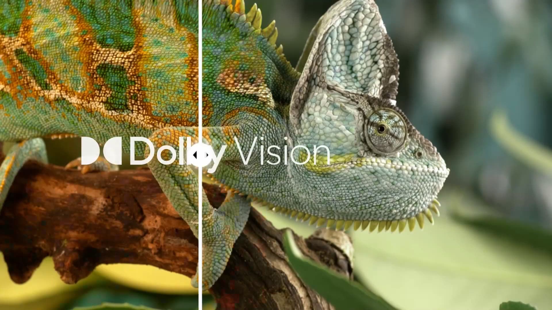 SANSUI Google TV Commercial Production